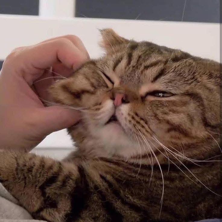 Người Mẹ Sĩ Diện